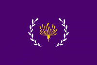 Dandelion 2025