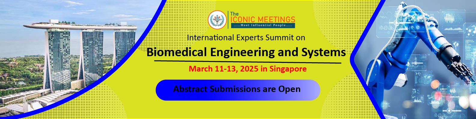 International Experts Summit on Biomedical Engineering and Systems 2024